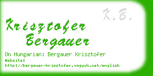 krisztofer bergauer business card